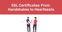 SSL Certificates Simplified: From Handshakes to Heartbeats